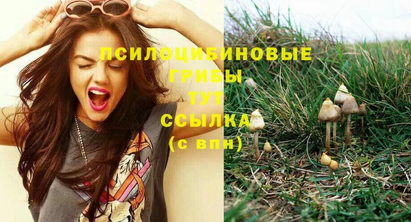 меф Надым