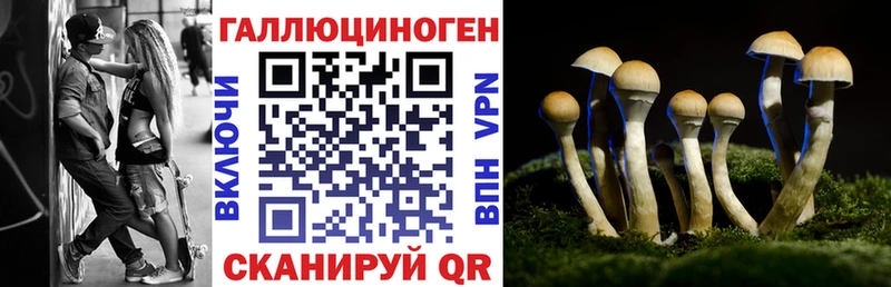 Псилоцибиновые грибы Psilocybe  наркота  Балаково 